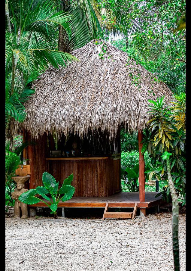Villas Pura Vibra Potrero  Ngoại thất bức ảnh
