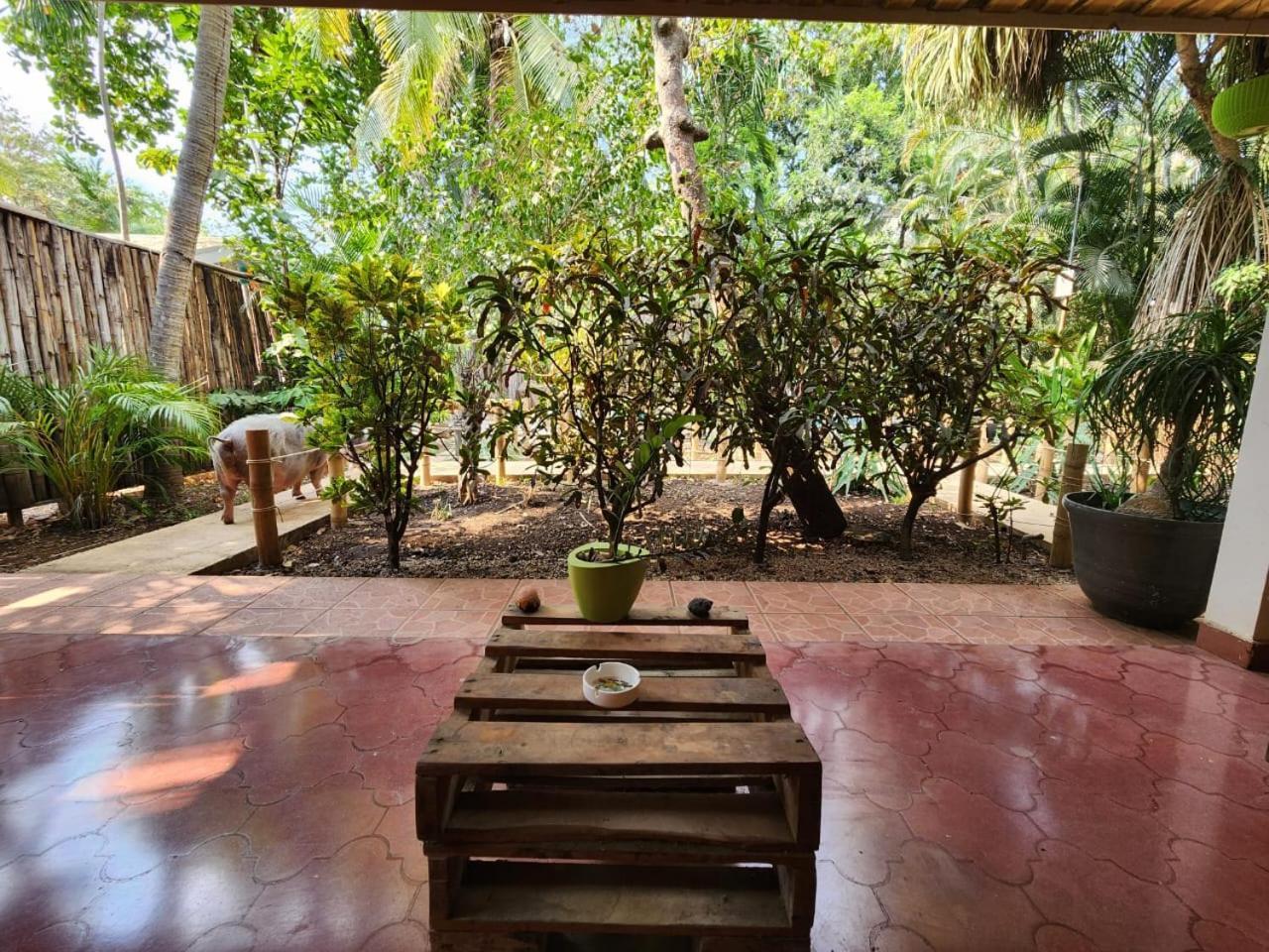 Villas Pura Vibra Potrero  Ngoại thất bức ảnh
